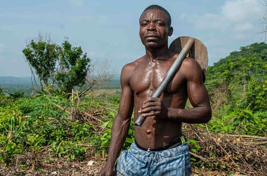 digital growth support tools