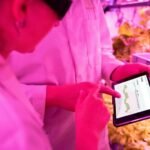 optimize your digital growth